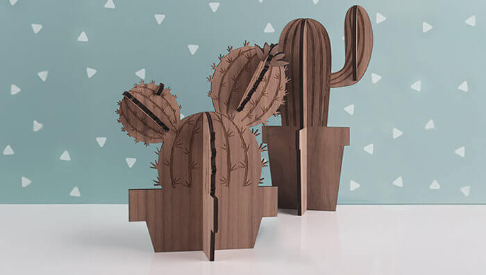 Cacti